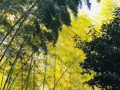 -杭州黄龙洞