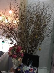 -新蝶变皮肤管理中心