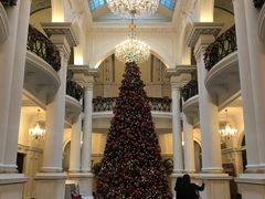 -Salon de Ville浦江汇(上海外滩华尔道夫酒店店)