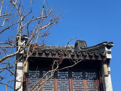 -巡塘古镇