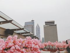-城市露台景观餐厅(淮海路店)