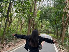 -广东茂名森林公园