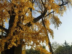 -清华大学玉泉医院