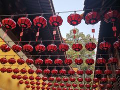 -亭林园-华藏寺