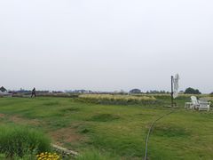 -空港花田景区