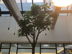 -大树餐厅(红旗街万达店)