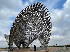 -南汇嘴观海公园