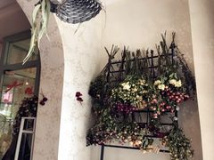 -SONGUOLIFE松果咖啡(七莘路店)