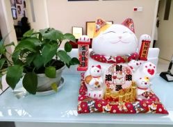 -成都西区医院整形美容