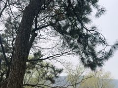 -艾山风景名胜区