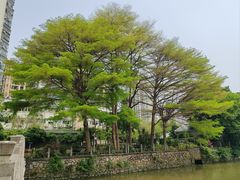 -晓港公园