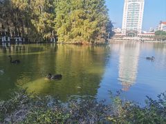 -厦门大学(思明校区)