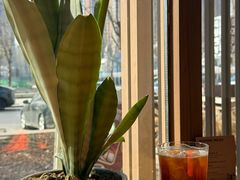 -日晒七里RiShine Miles(长白店)