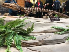 -自贡恐龙博物馆