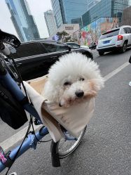 点击看大图 -尤米一站式美甲美睫
