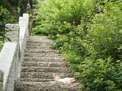 -乌山风景区