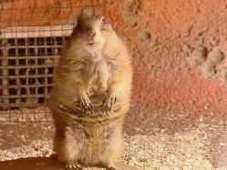 -酷嗒动物文化乐园(cutezoo西溪乐天城店)