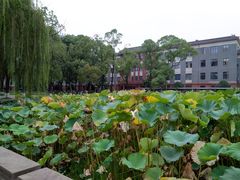 -四川大学(望江校区)