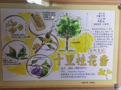 -上海昆虫博物馆