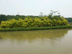 android_upload_pic-大湾区中央湿地公园