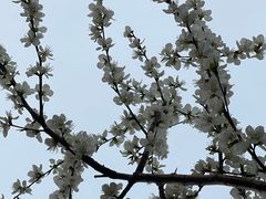 -南开大学(津南校区)