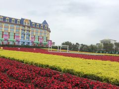 -百万葵园