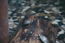 -酷嗒动物文化乐园(cutezoo西溪乐天城店)