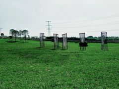 -紫颐香薰山谷景区