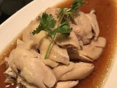 花雕童子鸡-蝶园·装修中(BFC外滩金融中心店)