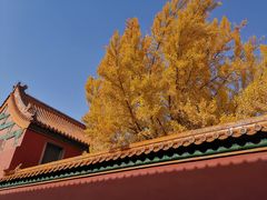-故宫钟表馆