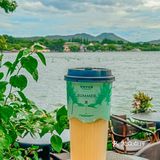 在杭州，夏日的冰凉清爽是爷爷不泡茶给我的。