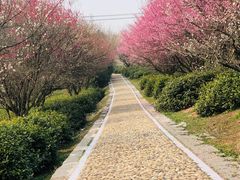 -南京市无想山景区