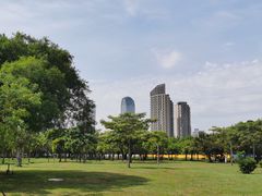 -万绿园