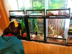 -藦茜花园宠物主题亲子互动体验馆(国顺东路店)