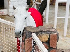 -金庭庄园酒店-停车场