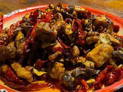 -柴窝堡22号辣子鸡·传承新疆菜