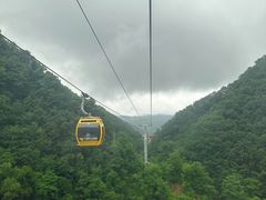 -栾川竹海野生动物园