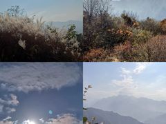 -秦岭风景区