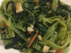 -一笼小幸运