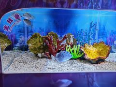 -秦皇岛新澳海底世界