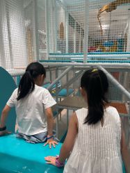 -奈尔宝家庭中心·亲子餐厅(鄞州万达店)