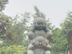 -武陵山森林公园