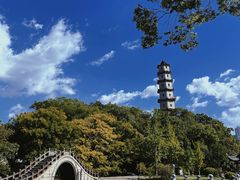 -江心屿景区