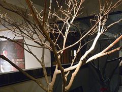 -黄山老妈·土菜(碧桂园店)