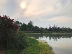 -桤木河湿地公园