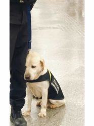 -Oasis Beauty水磨坊科技美肤中心