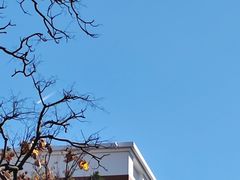 -海埂大坝