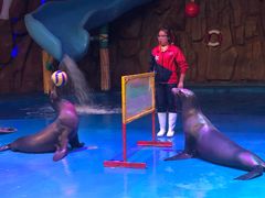 -烟台海昌鲸鲨海洋公园