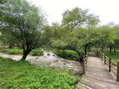 -大水川景区