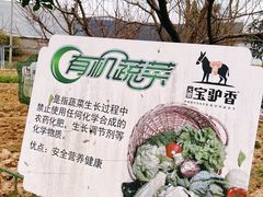 -元鼎宝驴香·全驴宴(江宁店)